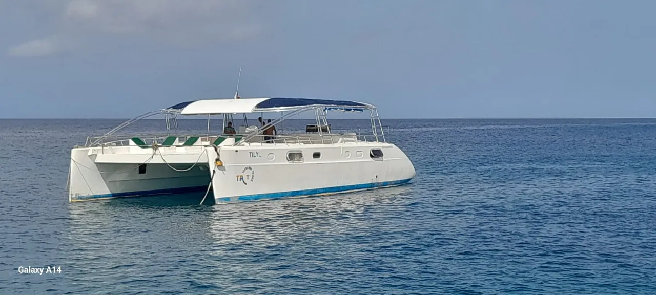 Catamaran Tilliz yacht charter Punta Cana — photo 3