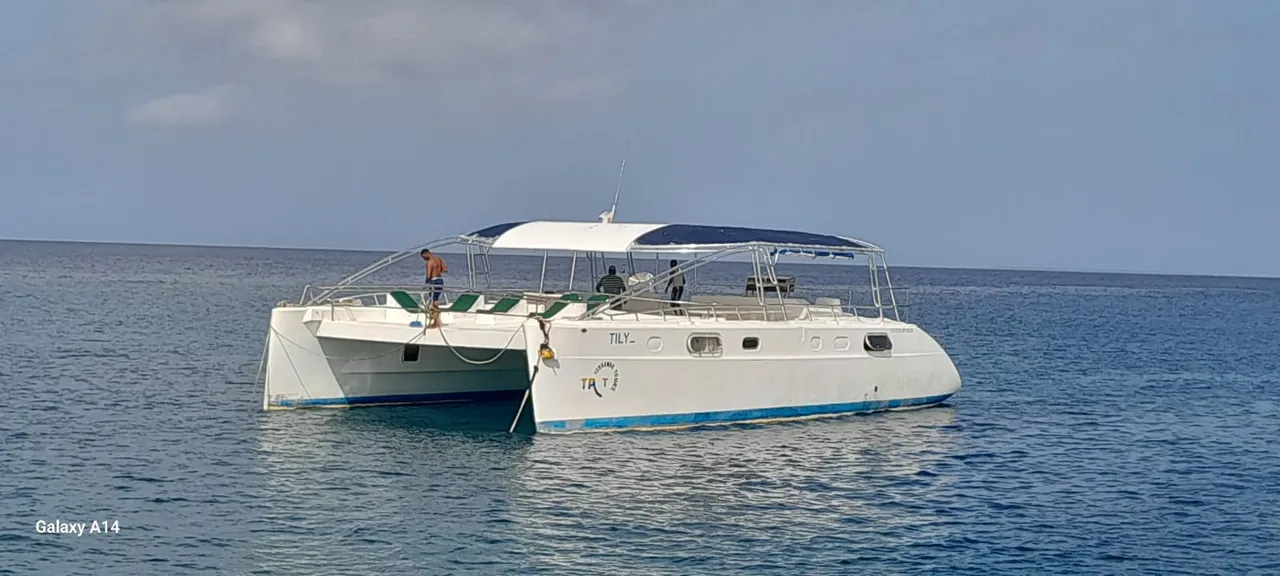 Catamaran Tilliz yacht charter Punta Cana — photo 4