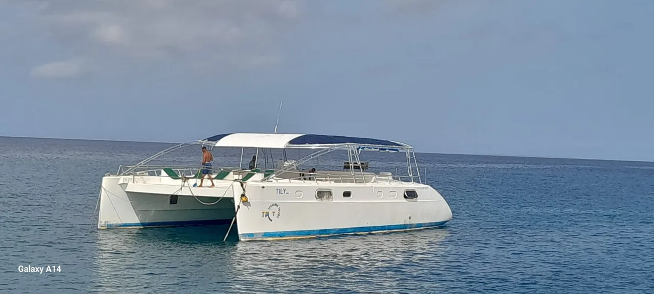 Catamaran Tilliz yacht charter Punta Cana — photo 5
