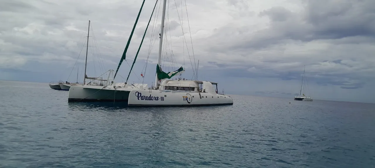 Paradox yacht charter Punta Cana — photo 2