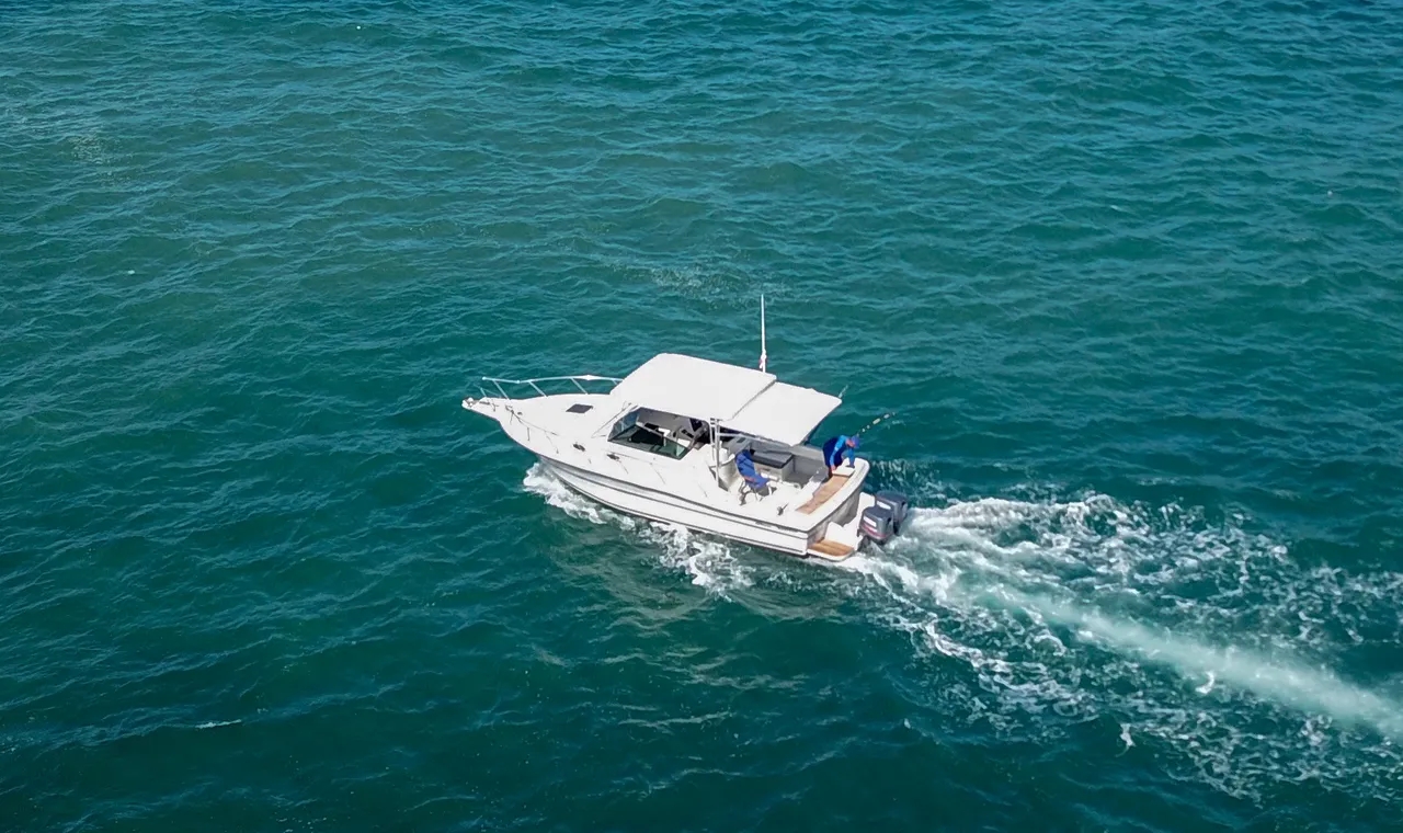 Scorpio yacht charter Punta Cana — photo 2