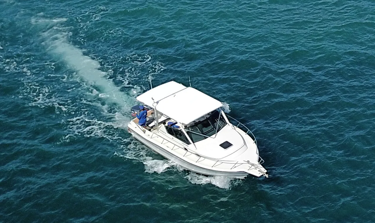 Scorpio yacht charter Punta Cana — photo 4